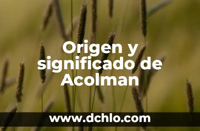 Tesis con falla de origen significado 4 Origen y significado de Acolman