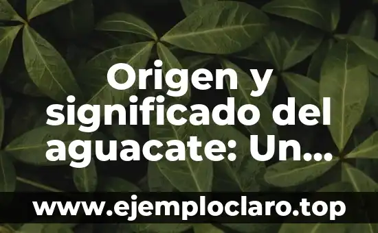 Palabras que cambiaron de significado: Un viaje a través del tiempo 6 Origen y significado del aguacate: Un viaje a través de la historia y la cultura