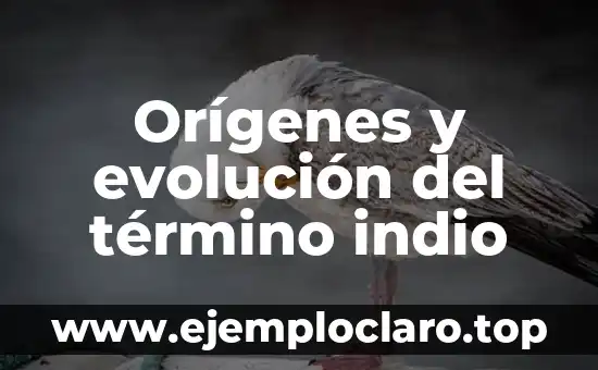 Evolución de la tecnología: Un viaje a través del tiempo 6 Orígenes y evolución del término indio