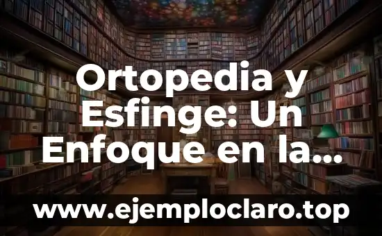El significado insuficiente de las palabras: Un enfoque detallado 5 Ortopedia y Esfinge: Un Enfoque en la Postura