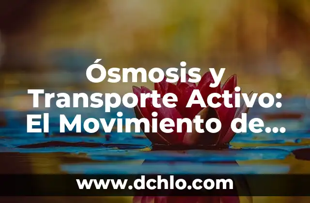 Introducción al Movimiento Unitario del Transporte (MUD) 8 Ósmosis y Transporte Activo: El Movimiento de Partículas en las Células