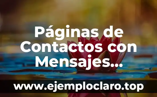 Páginas de Contactos con Mensajes Gratis: Descubre las Mejores Opciones
