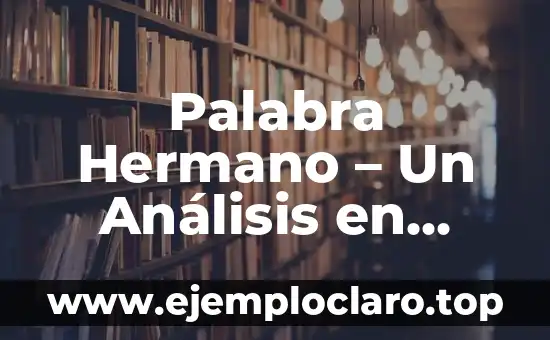 Palabra Hermano – Un Análisis en Profundidad