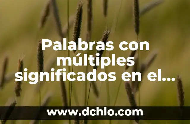 Lop - Un Concepto con Múltiples Significados 7 Palabras con múltiples significados en el contexto de los bienes