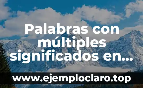 Palabras con múltiples significados en el contexto de los bienes