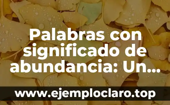 Palabras con significado de abundancia: Un viaje a través de la riqueza léxica
