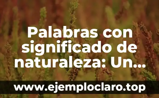 Palabras con significado de naturaleza: Un viaje al corazón del lenguaje ambiental