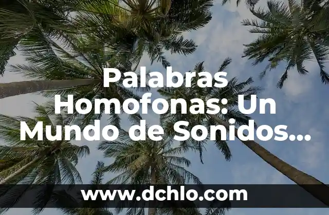Sonidos y significados de la música tepehua 5 Palabras Homofonas: Un Mundo de Sonidos y Significados