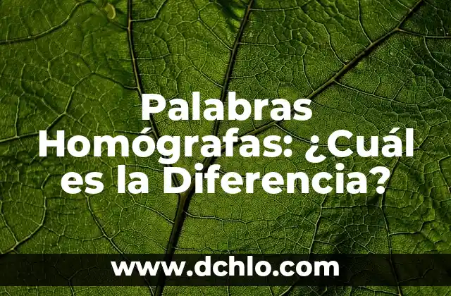 Diferencia entre Agua de Mineralización Débil y Muy Débil: ¿Cuál es la Mejor Opción? 6 Palabras Homógrafas: ¿Cuál es la Diferencia?
