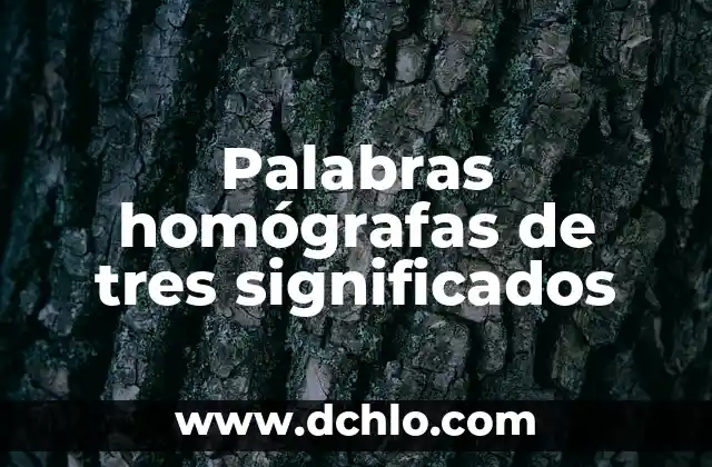 El Significado del Tatuaje de Tres Puntas de Flecha: Simbolismo y Historia 7 Palabras homógrafas de tres significados