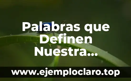 Nombre Alan - Significado y Personalidad 6 Palabras que Definen Nuestra Personalidad