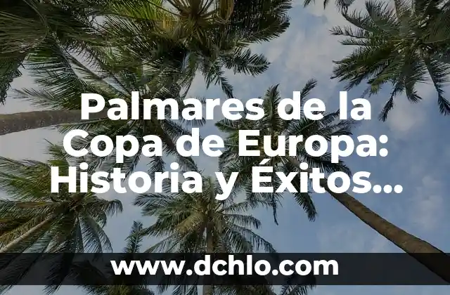 Las Películas Más Taquilleras de la Historia: Un Análisis de los Éxitos Cinematográficos 8 Palmares de la Copa de Europa: Historia y Éxitos de los Mejores Equipos