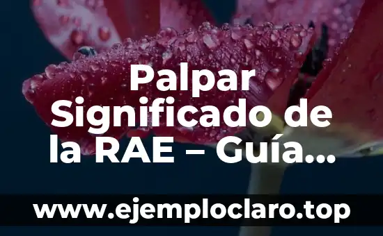 Palpar Significado de la RAE – Guía Completa y Detallada