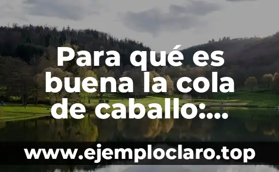 ¿La Coca Cola es Buena para la Diarrea? Descubre la Verdad 8 Para qué es buena la cola de caballo: Descubre sus beneficios para tu salud y belleza