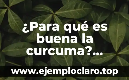 ¿Para qué es buena la curcuma? Descubre los beneficios de este potente ingrediente natural