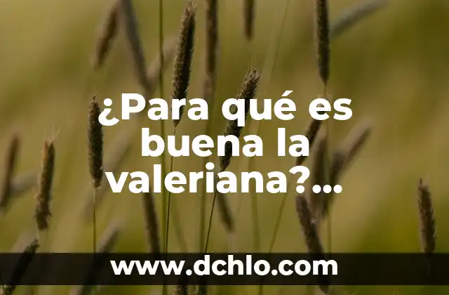 La Zanahoria es Buena para los Perros: Descubre los Beneficios 5 ¿Para qué es buena la valeriana? Propiedades y beneficios naturales
