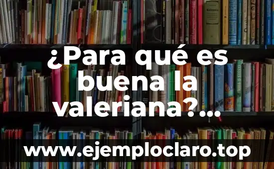 ¿Para qué es buena la valeriana? Propiedades y beneficios naturales