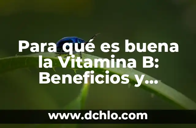 ¿Cuál es el color que se obtiene al mezclar rojo y blanco? 7 Para qué es buena la Vitamina B: Beneficios y Propiedades