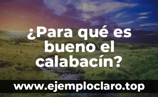 ¿Para qué es bueno el calabacín?