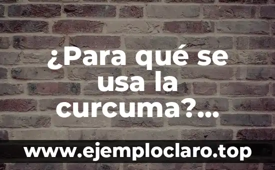¿Para qué se usa la curcuma? Propiedades y beneficios del azafrán indio