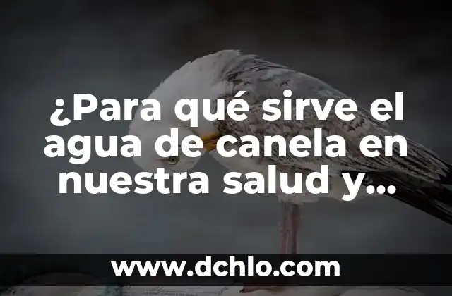 Agua de Avena para Qué Sirve: Descubre los Beneficios para tu Salud 8 ¿Para qué sirve el agua de canela en nuestra salud y bienestar?