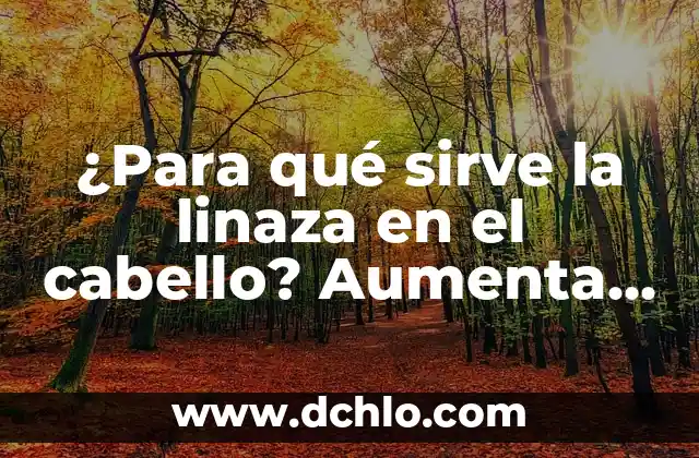 Mascara de Cebolla para el Cabello: Descubre los Beneficios para tu Pelo 8 ¿Para qué sirve la linaza en el cabello? Aumenta el crecimiento y la salud capilar