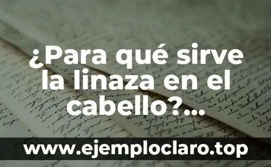 ¿Para qué sirve la linaza en el cabello? Aumenta el crecimiento y la salud capilar