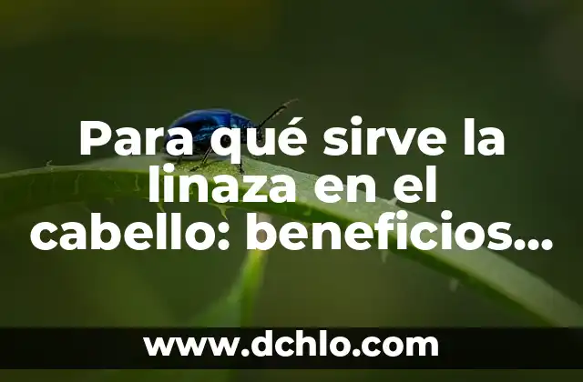 Mascara de Cebolla para el Cabello: Descubre los Beneficios para tu Pelo 3 Para qué sirve la linaza en el cabello: beneficios y usos