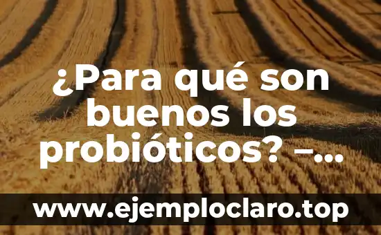 Beneficios de Dormir Sin Ropa Interior: Descubre la Libertad Nocturna 6 ¿Para qué son buenos los probióticos? – Descubre los beneficios de la salud