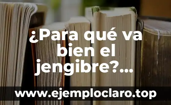 ¿Para qué va bien el jengibre? Propiedades y beneficios del jengibre
