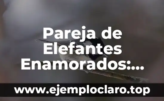 Pareja de Elefantes Enamorados: Un Simbolismo Profundo