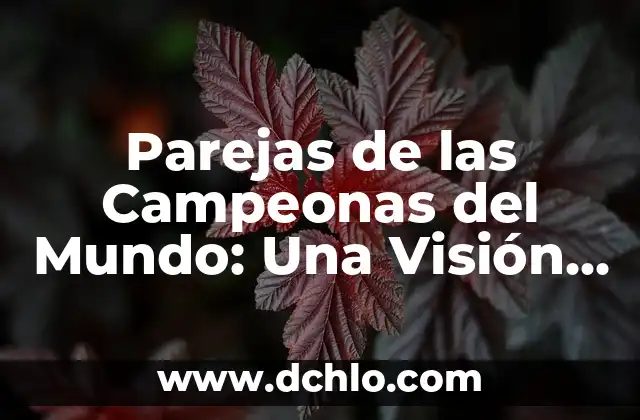 Resultados de la Copa Mundial Femenina de Fútbol - Ediciones y Campeonas 4 Parejas de las Campeonas del Mundo: Una Visión Detallada