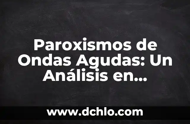 Significado de Fidel: Un Análisis en Profundidad 6 Paroxismos de Ondas Agudas: Un Análisis en Profundidad