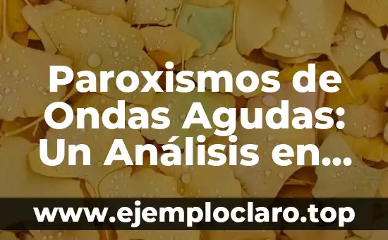 Paroxismos de Ondas Agudas: Un Análisis en Profundidad