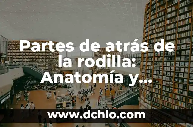 Cabello Rapado de Atrás en Mujeres: Un Análisis Profundo 6 Partes de atrás de la rodilla: Anatomía y función