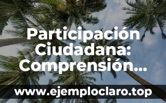 Participación Ciudadana: Comprensión Integral del Concepto
