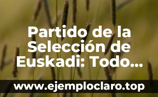 Reseña: Todo Lo Que Necesitas Saber Sobre su Significado y Concepto 5 Partido de la Selección de Euskadi: Todo lo que Necesitas Saber