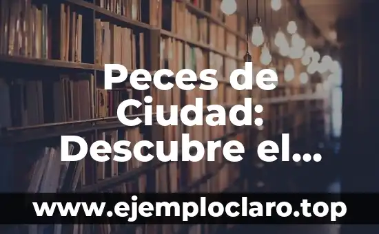 Peces de Ciudad: Descubre el Significado y Versión Urbana de los Peces