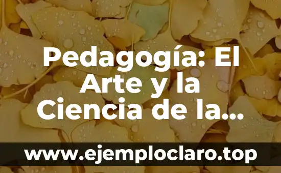 Entorno Virtual de Enseñanza: Un Nuevo Paradigma Educativo 5 Pedagogía: El Arte y la Ciencia de la Enseñanza