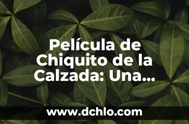 Cómo Calcular el Porcentaje de un Número: Guía Detallada 5 Película de Chiquito de la Calzada: Una Visión Detallada de la Iconografía Española