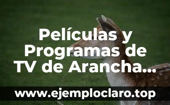 Descubre el significado de fruncir y sus múltiples usos 7 Películas y Programas de TV de Arancha del Sol: Descubre su Carrera en la Pantalla