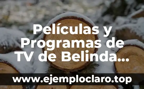 El Concepto de Sucesión en el Derecho Romano: Una Mirada Histórica 7 Películas y Programas de TV de Belinda Washington: Una Mirada a su Carrera