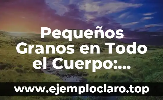 Pequeños Granos en Todo el Cuerpo: Causas, Síntomas y Tratamientos