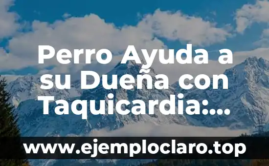 Perro Ayuda a su Dueña con Taquicardia: Una Historia de Amor y Lealtad