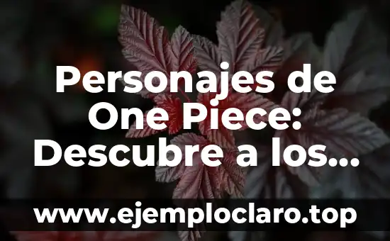 Personajes de One Piece: Descubre a los Héroes de la Serie de Anime más Popular