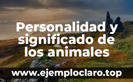 Picadura de Araña Significado Emocional - Un Viaje al Mundo de los Símbolos 6 Personalidad y significado de los animales