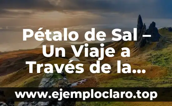 Pétalo de Sal – Un Viaje a Través de la Poesía de Joan Manuel Serrat