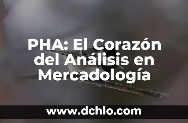 Los Mexicas: Un Viaje al Corazón de Mesoamérica 3 PHA: El Corazón del Análisis en Mercadología