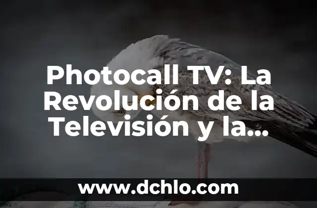 El significado de la radio 4 Photocall TV: La Revoluci贸n de la Televisi贸n y la Radio Online