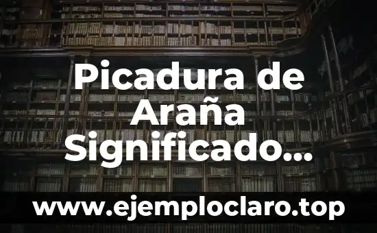 Picadura de Araña Significado Emocional - Un Viaje al Mundo de los Símbolos